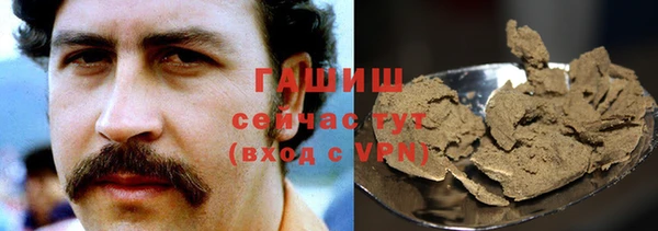 крисы Магас