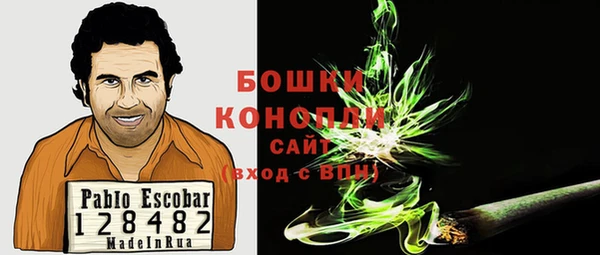 крисы Магас