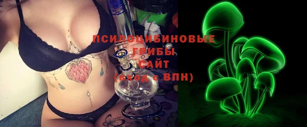 крисы Магас