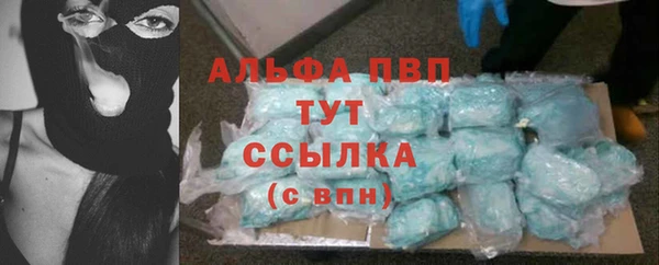 крисы Магас