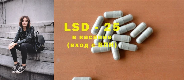 крисы Магас