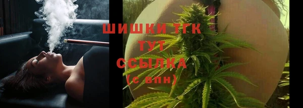 крисы Магас
