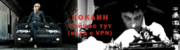 эйфоретик Майский