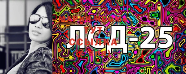 крисы Магас