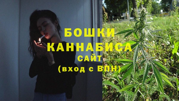 крисы Магас