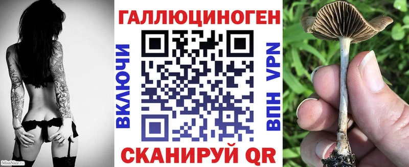Купить  Павловская  Галлюциногенные грибы Magic Shrooms 